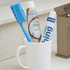 Wangta Toothbrush Blue