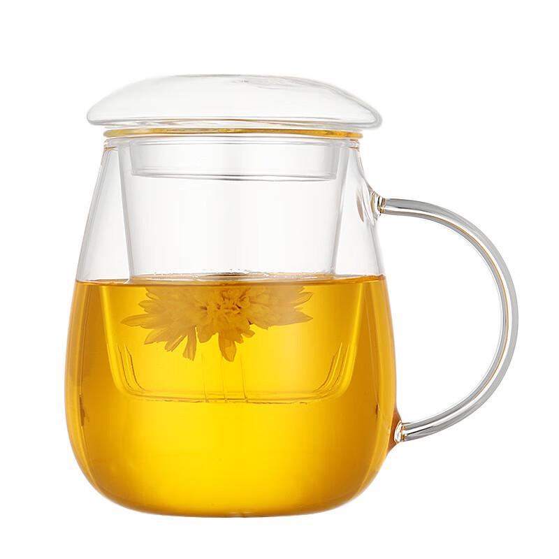 Chaxun 500ml Heat-Resistant Glass Tea Infuser Mug
