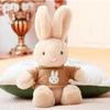 Cute Sweater Rabbit Doll Dress Rabbit Plush Toy Scarf Rabbit Claw Doll Wedding Gift