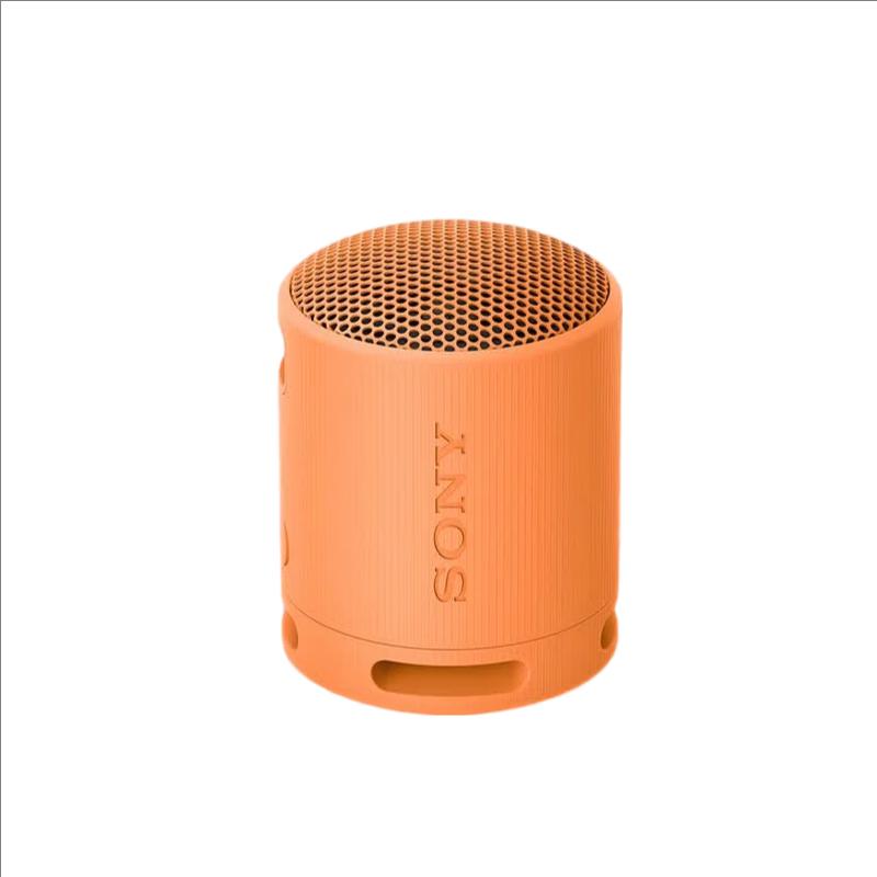 Sony SRS-XB100 Portable Bluetooth Speaker (CN Version)