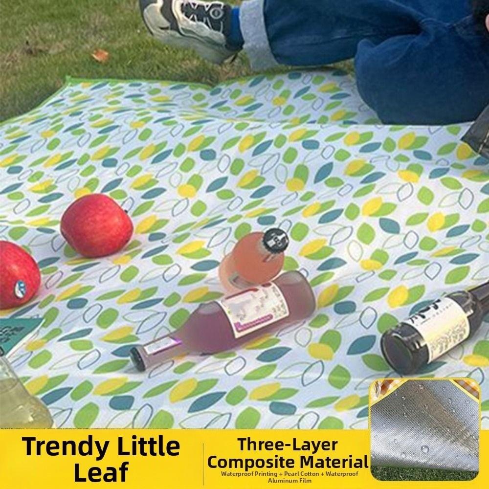 Moisture-proof Picnic Mat Beach Mat Foldable Pearl Cotton Aluminum Film Mat
