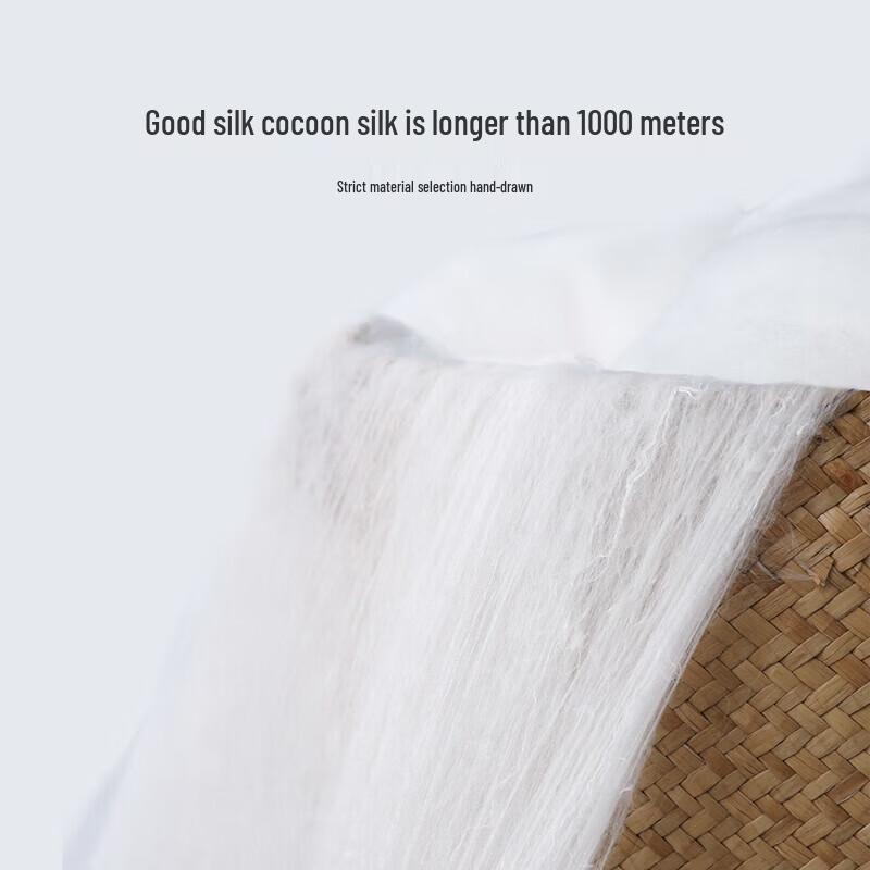 Mercury Home Textiles All-Season Mulberry Silk Quilt