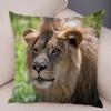 Dekor Povlak na polštář Lev africký Vzor divokého zvířete Potisk Povlak na polštář Super měkký plyšový Potah na polštář pro auto Pohovka Domov 45x45cm