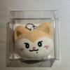 [USED] ITZY Chaeryeong RyeoWoo Korean Pop-Up Mirror