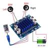 XH-A232 Digital Audio Power Amplifier Board 30W+30W 2.0 Channel Stereo Output Low Noise for Desktop Audio System DIY