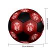 Hassania Agadir Indoor Soccer Ball Colorful All Ages Size 5 Machine Stitched PVC Competition Ready Durable High-Bounce