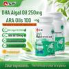 Renhe DHA Algal Oil & Nervonic Acid Brain Supplement