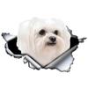 13cm X 6cm 1 Pcs Cute Maltese Car Sticker Pet Dog Car Decoration Torn Metal Decal Reflective Sticker Waterproof Car Styling