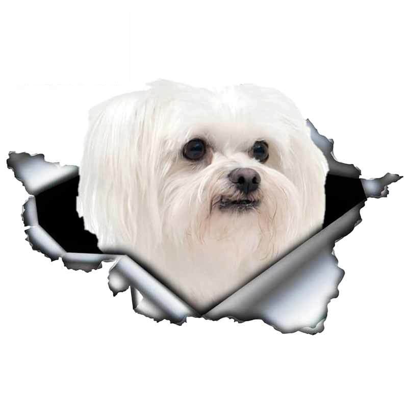 13cm X 6cm 1 Pcs Cute Maltese Car Sticker Pet Dog Car Decoration Torn Metal Decal Reflective Sticker Waterproof Car Styling