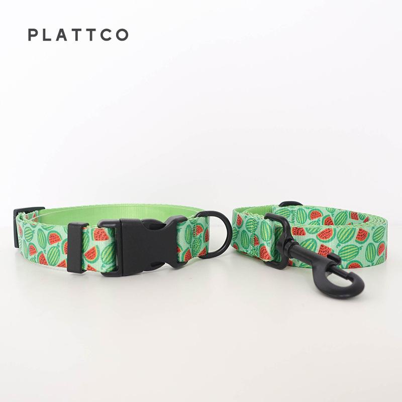 PLATTCO Fruit Print Faux Nylon Dog Collar & Leash - Soft, Comfortable, PDC325 Medium