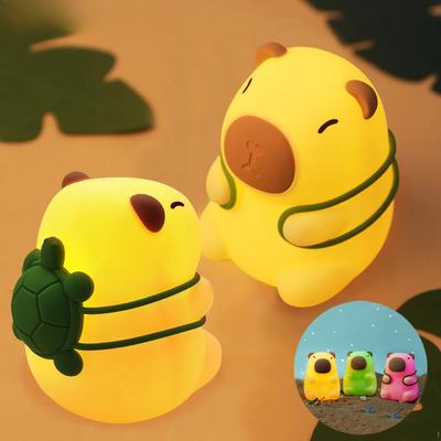 Illuminazione – Luci notturne