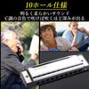 nullie 10-hole harmonica singing and playing set with harmonica holder - a complete 4-piece set to get you started right away.