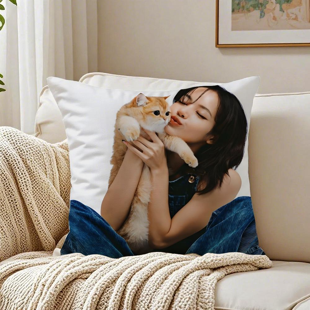 singer powerful LLLisa Cushion Cover Pillowcase Antidustmite living Room Sofa Decor Cushion Room