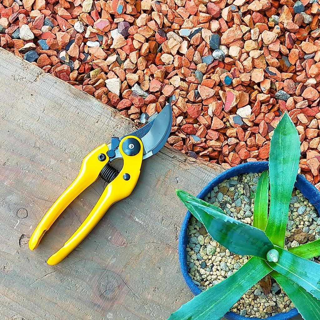 Barnel Standard Pruning Shears BA-B175 (Orange) [Item]