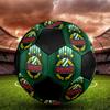 Rapid Wien Soccer Ball, Colorful, Suitable for All Ages, Machine-stitched, PVC Material, Competition Grade, Durable and High Bounce