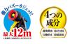 Fumakilla Kadan Hornet Insecticide Spray Bazooka Jet 550ml Approximately (Flight Distance 12m)