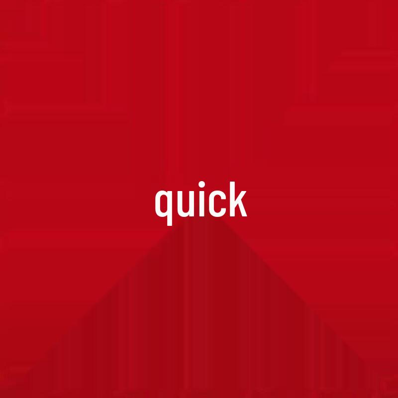 304 Stainless Steel Handled Hose Clamp