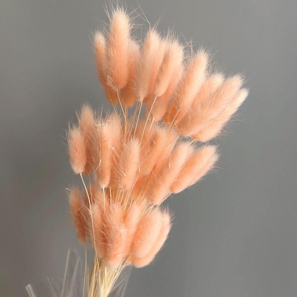 Yunnan Dried Flowers Bouquet - Rabbit Tail Grass