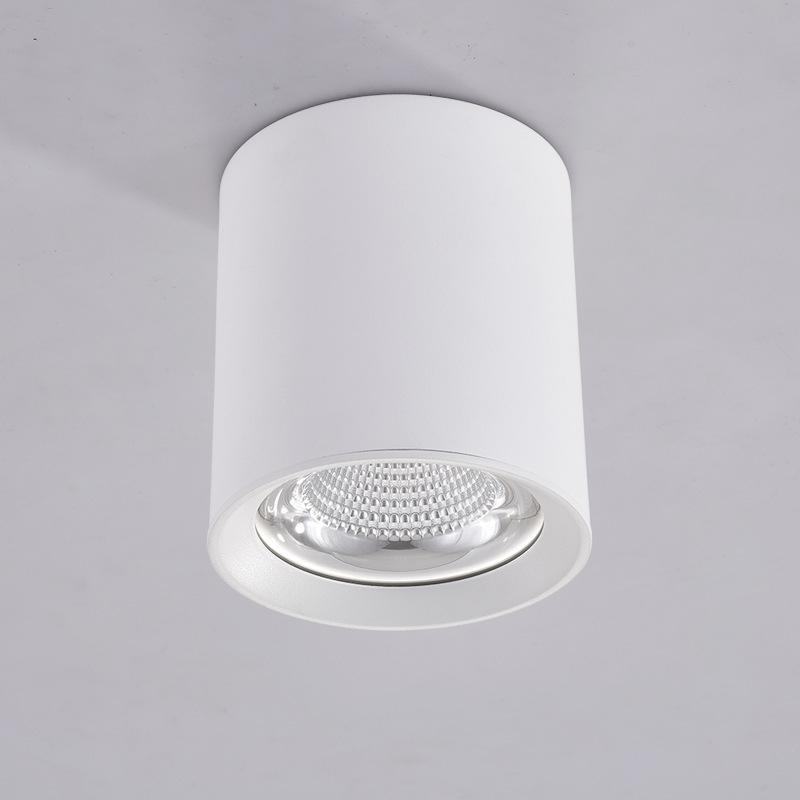 

Накладные потолочные светильники COB с антибликовым покрытием, простая установка, точечный светильник 10 Вт, 15 Вт, 25 Вт, светодиодные потолочные светильники для помещений, AC85-265 В 10W&Cold White 6000K белый