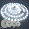 12W 18W 24W 36W Bright 2D Replaable LED Light Sour For European Iling Lamp Marked 110V 220V 240V With Magnet Led Lights