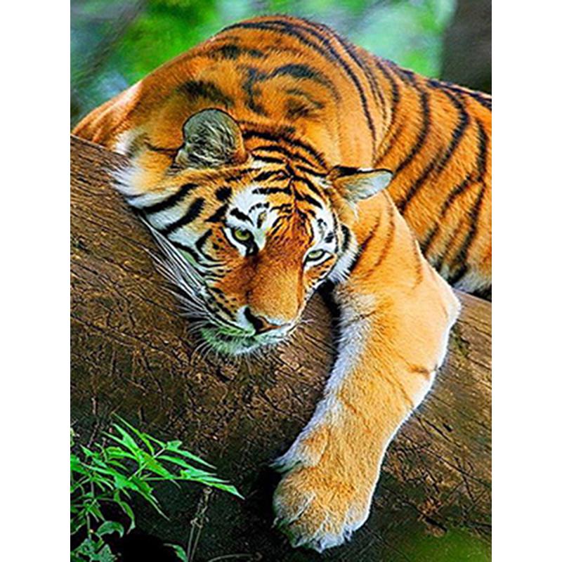 DIY Tiger 5D Diamond Painting Full Square Drill Resin Mosaic Animal Diamond Embroidery Cross Stitch Handmade Wall Art Gift