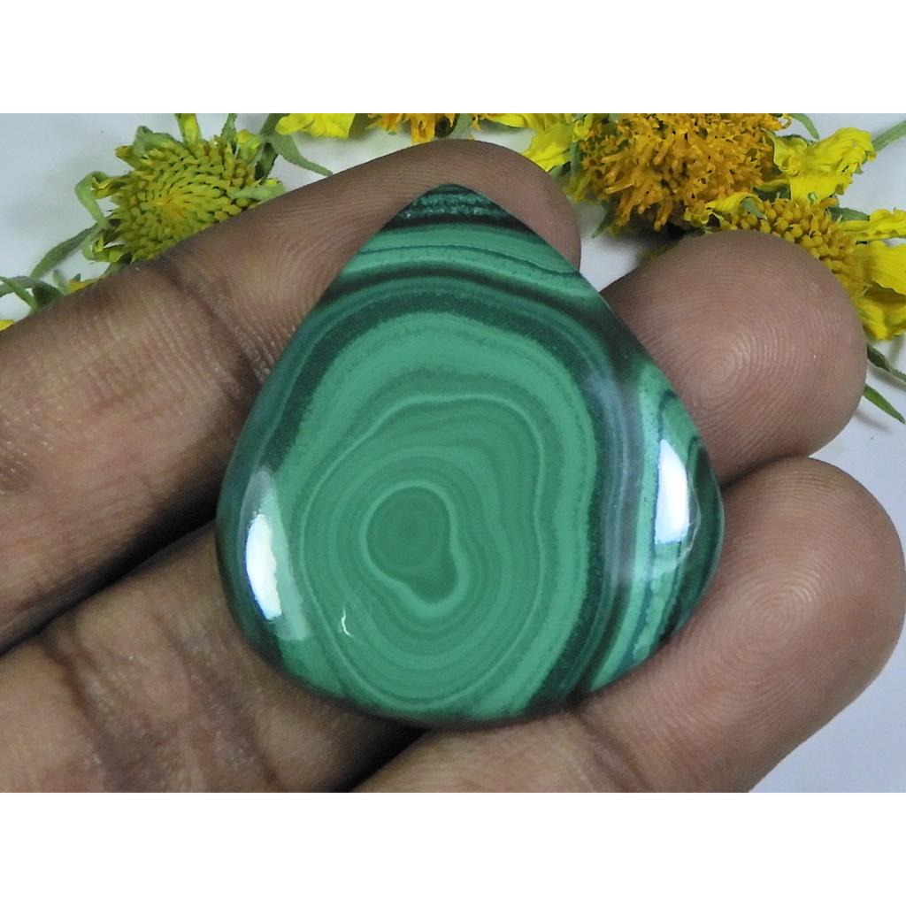 AA++ Natural Green Malachite Pear Cabochon Loose Gemstone 30X34X04MM 55Cts. D-59