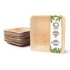 Disposable Plate - Square Palm Leaf Plate - Biodegradable and Plastic-free Disposable Plate - 18x18cm, 25 Pieces