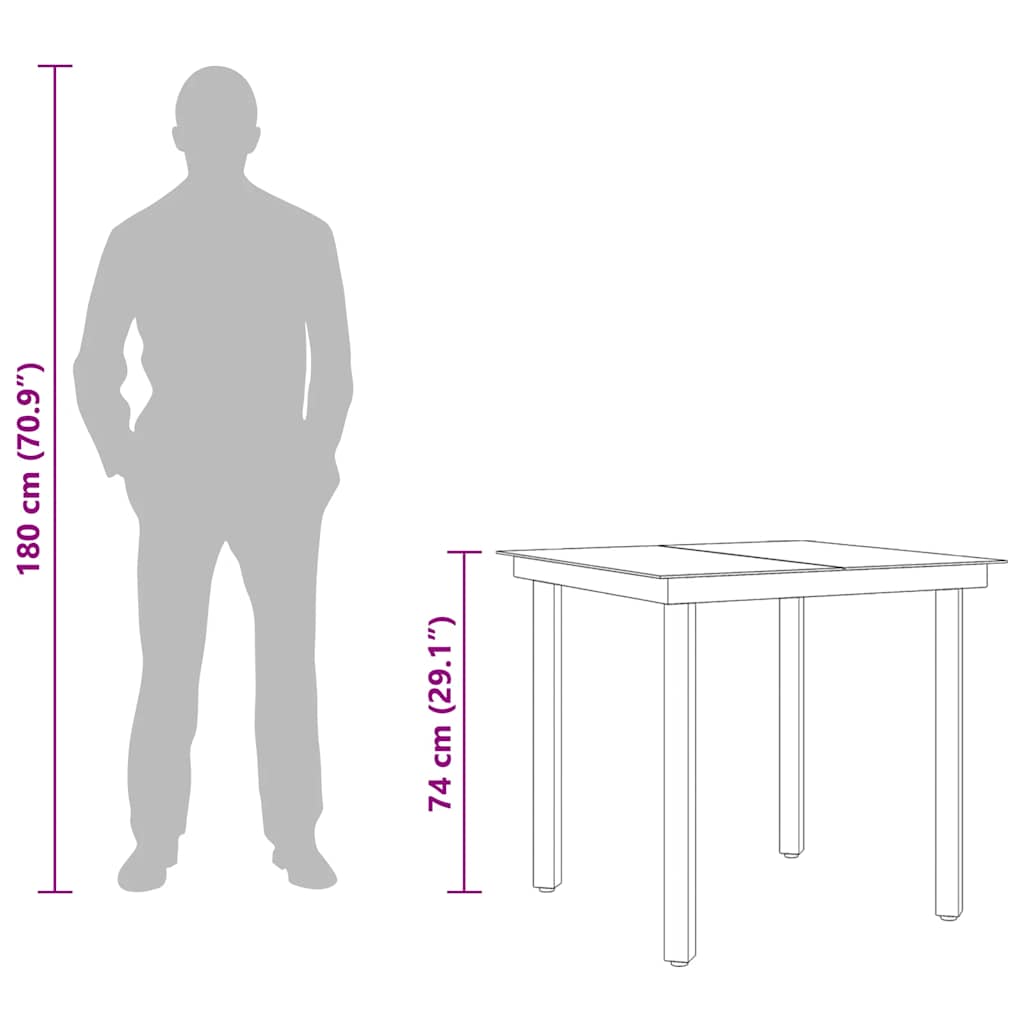 Garden Dining Table Black 80 x 80 x 74 cm Steel and Glass