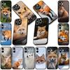 Soft Cover for Samsung Galaxy S25 S24 S23 FE Plus Ultra S7 Edge A16 A15 5G s25+ Coque Phone Case Fox Wild