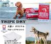 PetKind Green Lamb Tripe 2.72kg [Dog-Friendly Original Imabari Hand Towel Set] [Towel Color: White] [Authentic]