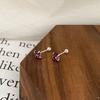 Autumn and Winter Exquisite Pearl Earrings Women's New Cold Style Earrings Niche Light Luxury High-end Elegant Earrings