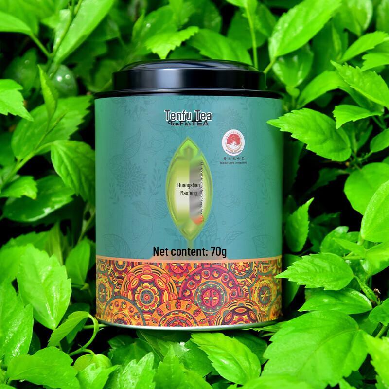 TenFu s TEA Anhui Maofeng Green Tea