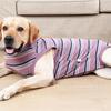 Thickened Dog Surgery Recovery Suit Breathable Bite Protective Outfit  Post-Surgery Care