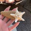 Beach Straw Hat Hairpin Korean Style Weaving Style Barrette Starfish Hair Clip  Hair Accessories