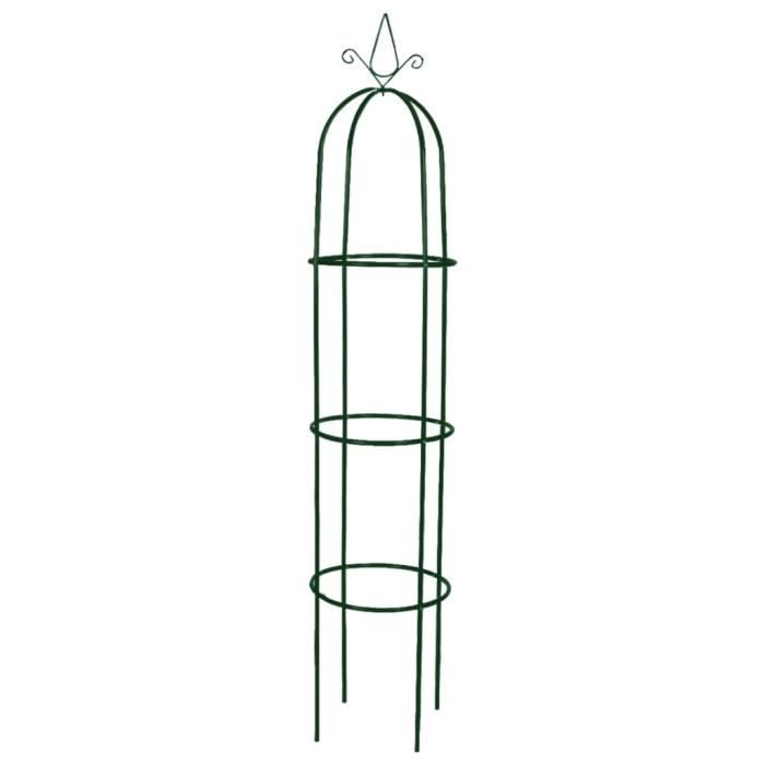 VidaXL Arche de jardin en forme de tour 2 pcs