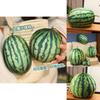 Entzückendes 3D Wassermelonen Plüschtier Weiches Kissen für Kinderzimmerdeko und Geschenke