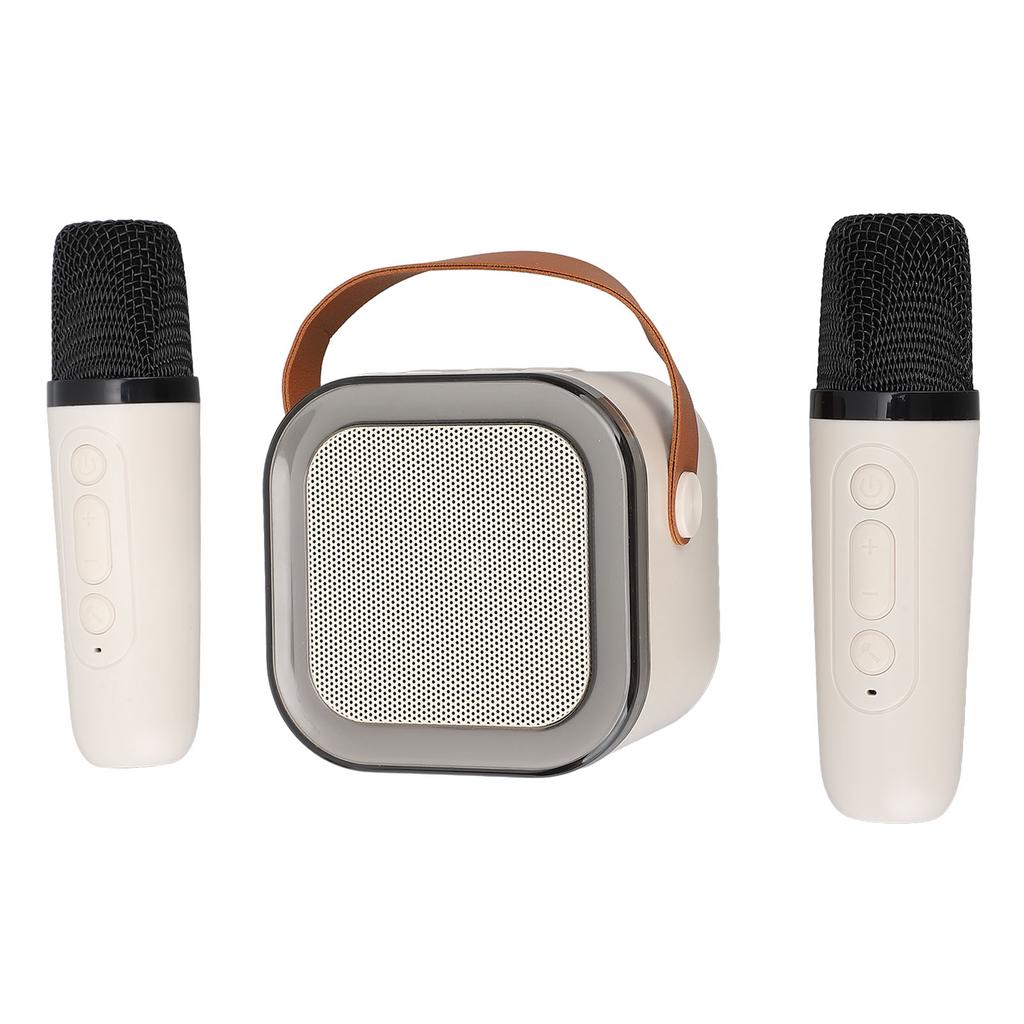 Tragbare Karaoke-Maschine Hervorragende Klangqualität Drahtloser Bluetooth-Lautsprecher mit 2 Mikrofonen für