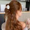 Korean Style Shell Hair Claw Rhonestone Shell Shape Claw Clip Vintage Shell Crab Clip  Girl