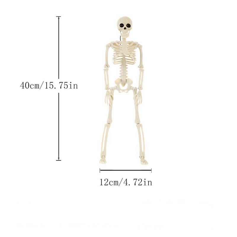 

40/90cm Halloween Party Skeleton Decoration