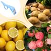 Fruit Kiwi Apples Peeler Orange Cutter Vegetable Stainless Steel Peelers Portable Manual Peeling Potatoes Peeler Kitchen Tools