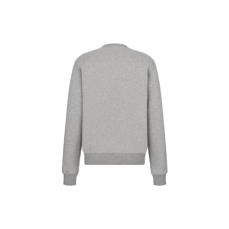 DIOR Sweatshirts Men's Gray Crew Neck Moderate Regular 113J699A0531-C888