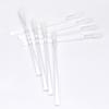 Glamsky Disposable Lip Brushes