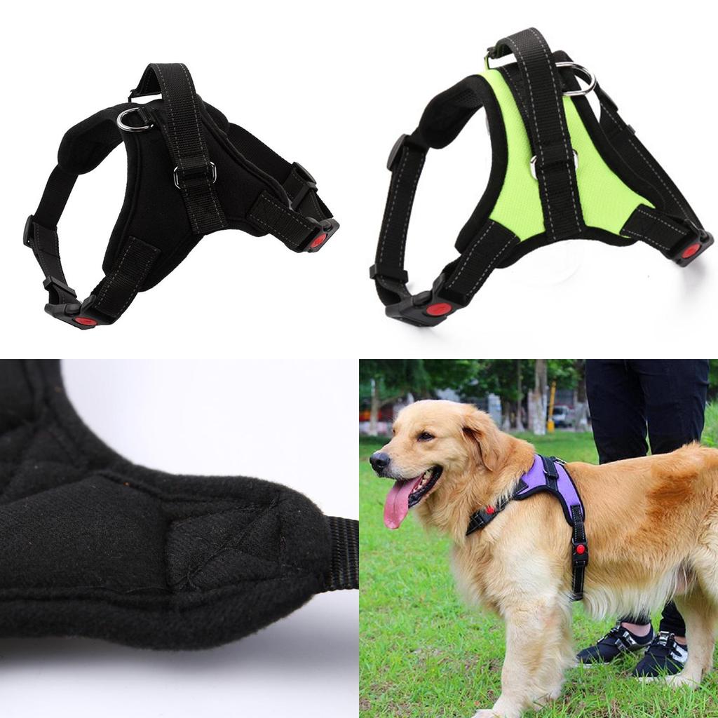 Anti-pull Dog Harness With Adjustable Chest Straps Perfect For Pleasant Walks