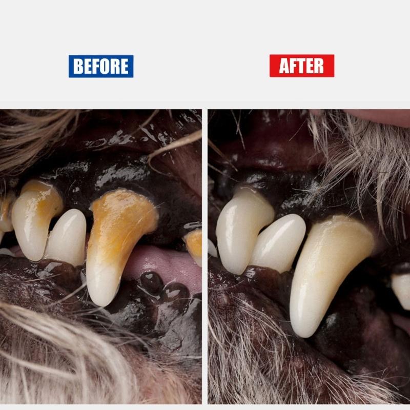 Pet Teeth Cleaning Tools 7 Inch Double for Head Tarter & Plaque Remover Tool Dental Tartar Calculus Plaque Remover