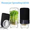 Blackout Sleeves Glass Sprout Growing Set Drain Cover Sprout Growing Container  Home Gardeners