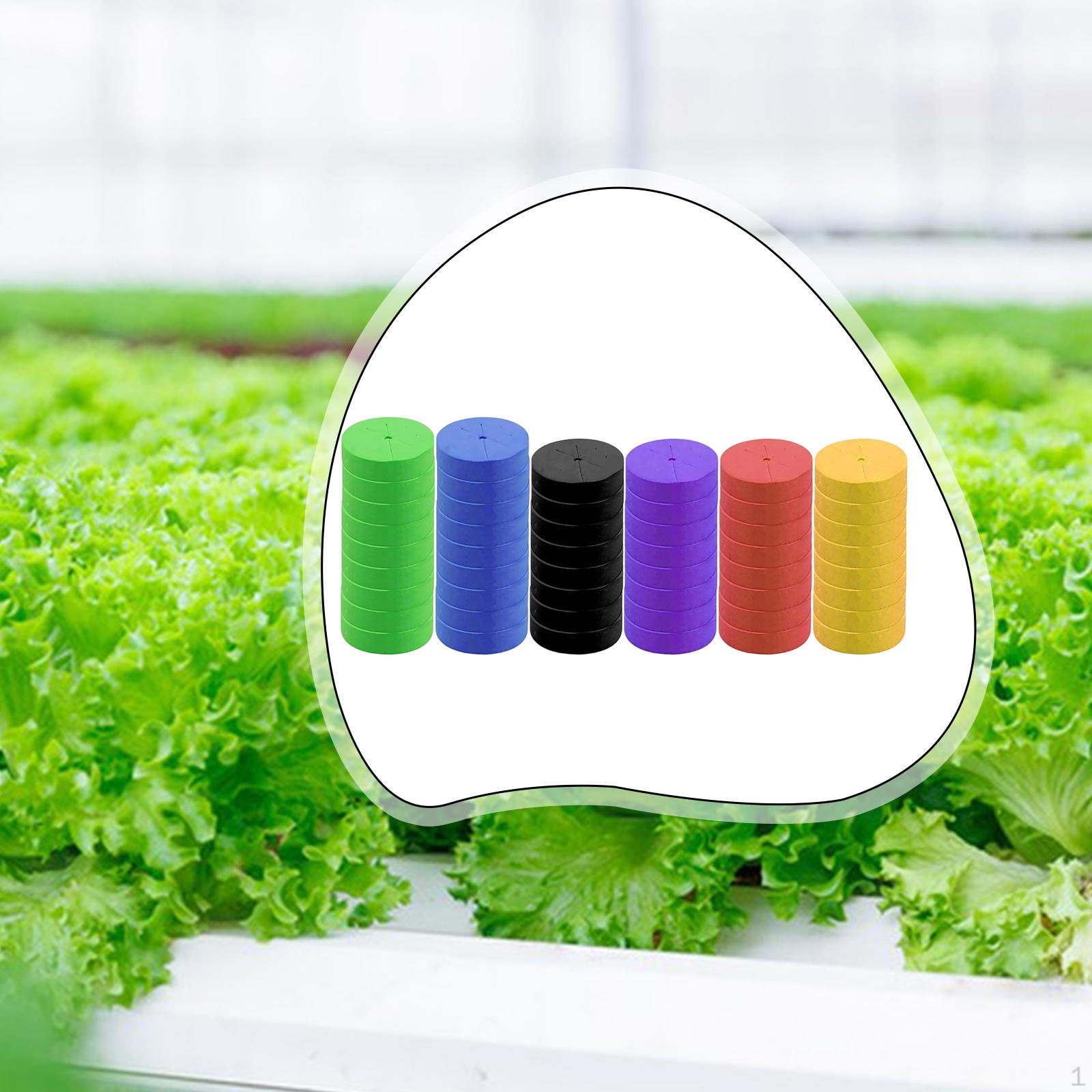 

50 Clone Inserts, Soilless, Waterproof, Easy to Use, Replacement Foam Inserts for Growing Lettuce, colorful 4.8cmx1.9cm