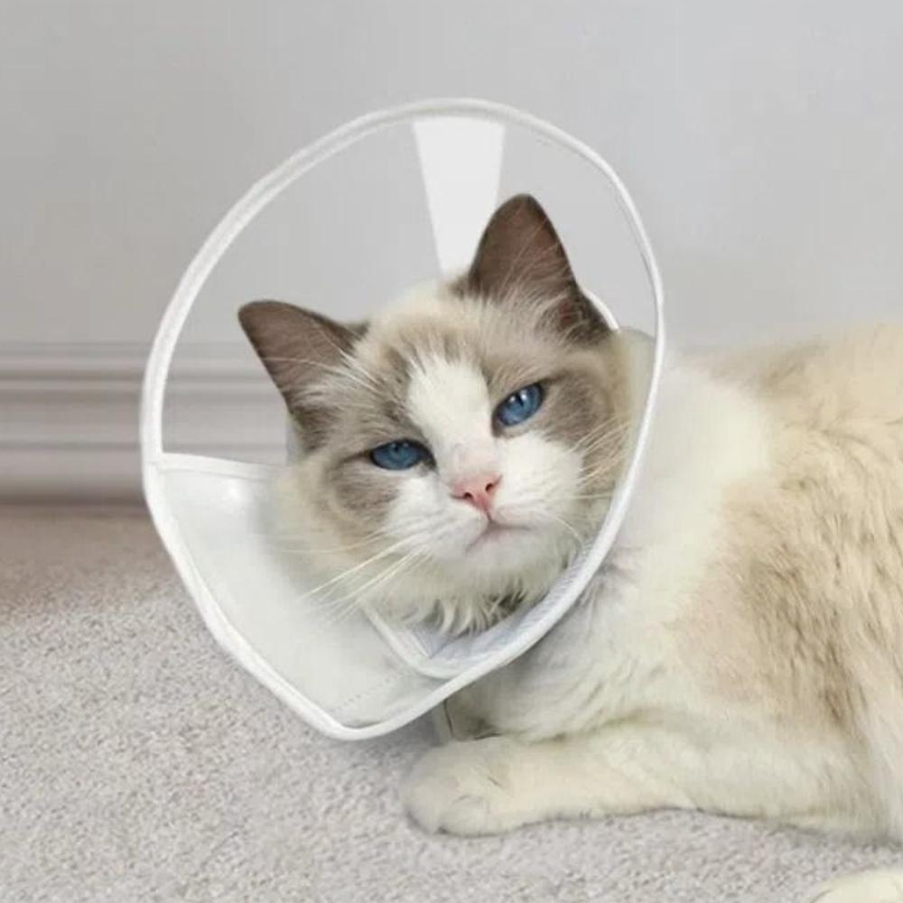 Comfortable Cat Recovery Cone Collar Soft Cat Elizabethan Ring Reusable Pet Protective Collar  Dogs