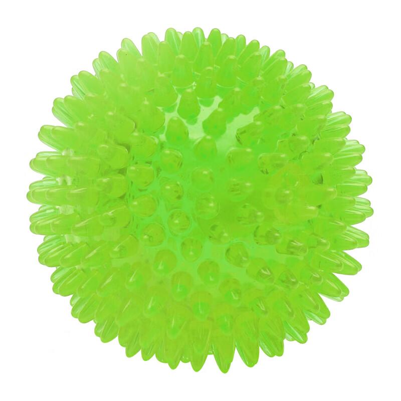 EETOYS Squeaky Spiky Dog Chew Toy