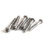YJB PARTS Synchro Tremolo Bridge Fixing Screws, Stainless Steel, 6-Piece Set, Made In Japan