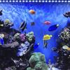 Etelux 24 LED Aquarium Light Bubbles Underwater Aquarium Lamp Aquarium Lighting Decoration Aquarium Fish Tropical Fish Oxygen Supplement Long Life